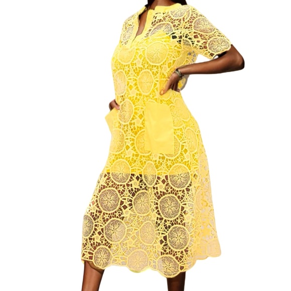 #A081  Nancy Romantic Yellow Lace Dress  Embroidered Sheer Overlay NWT L - Picture 1 of 6